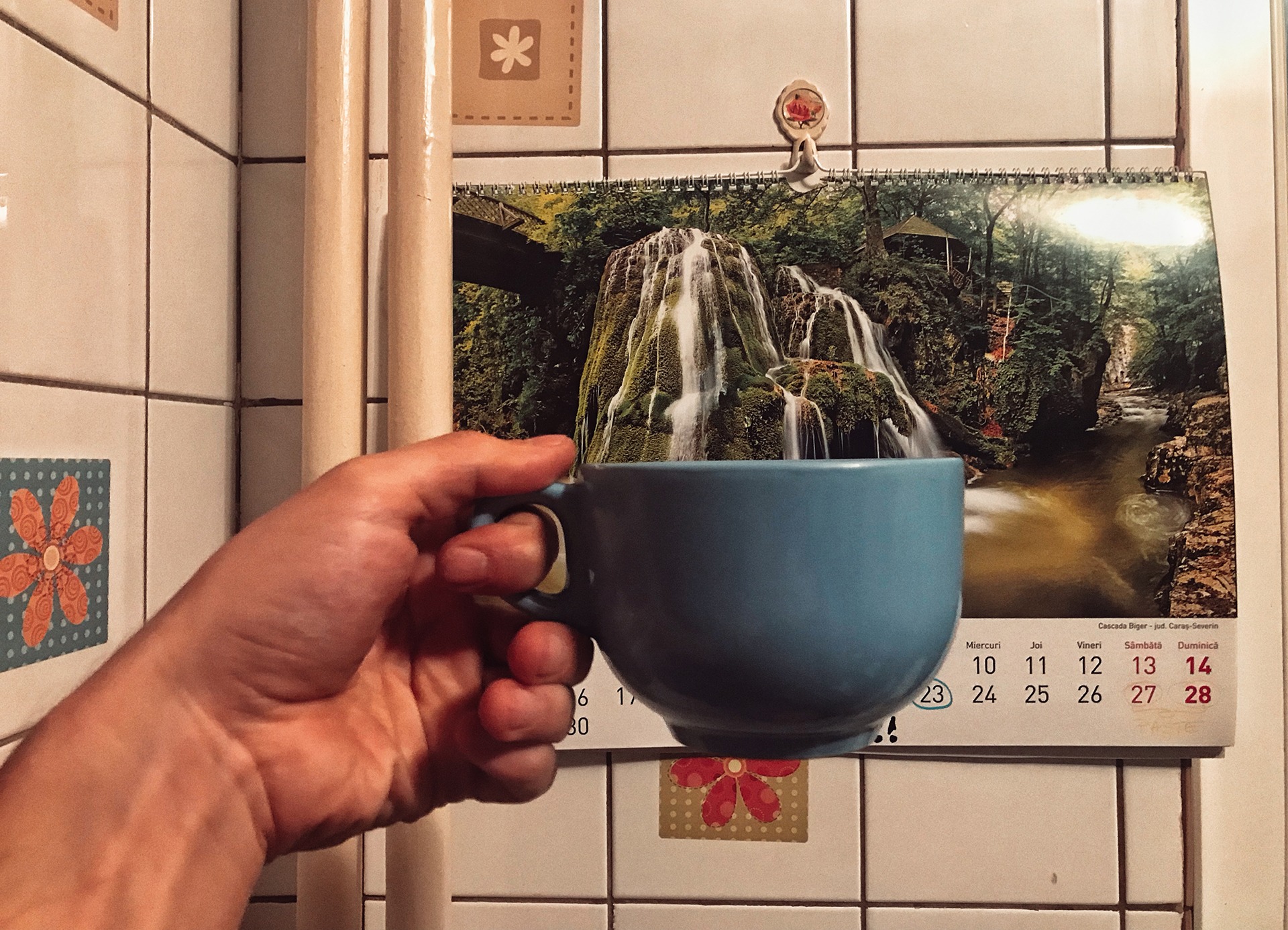 A Cup Of Mountain Tea